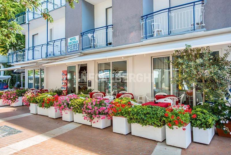 B&B Hotel Lucciola Cattolica Bagian luar foto